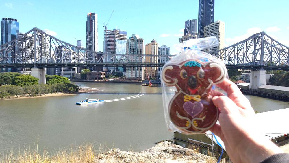 Lebkuchen-Koala in Australien gesichtet.